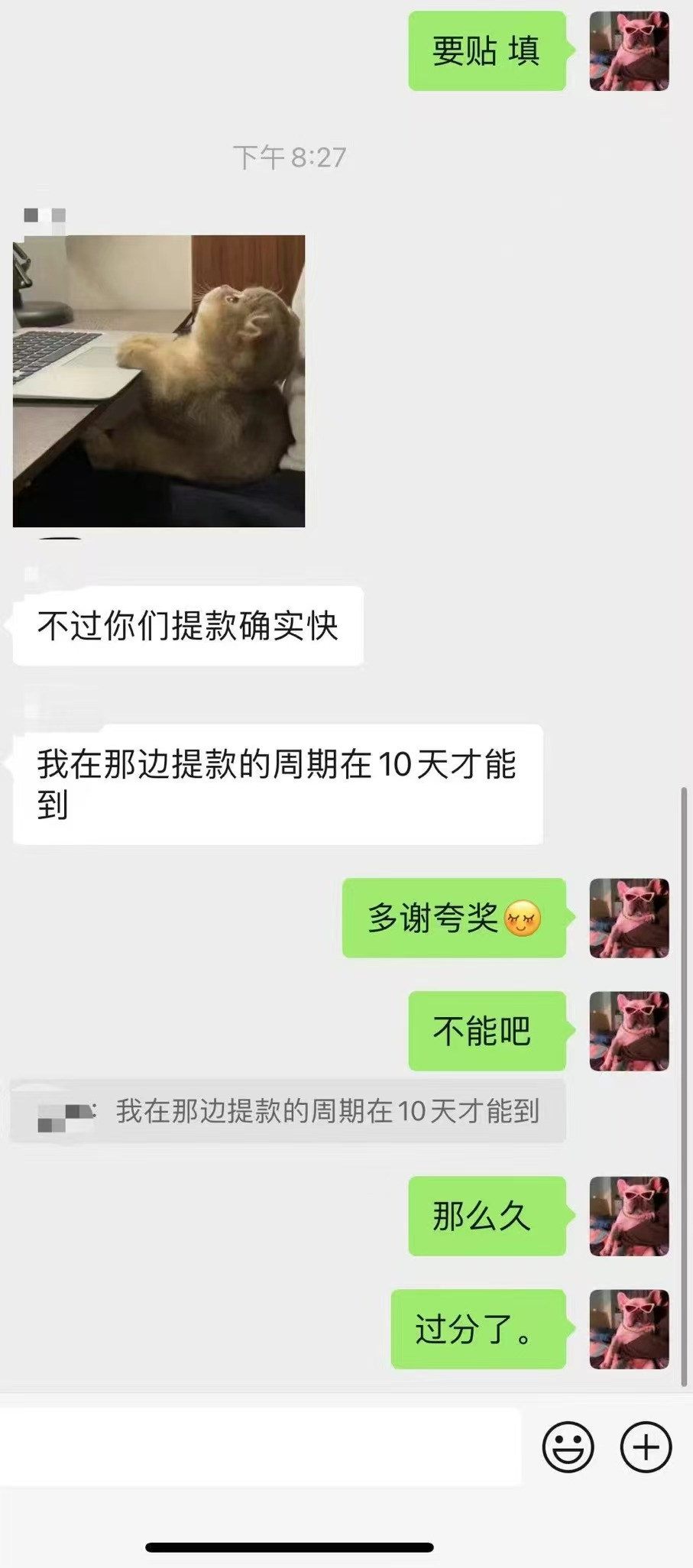 知猫跨境客户好评：夸夸截图
