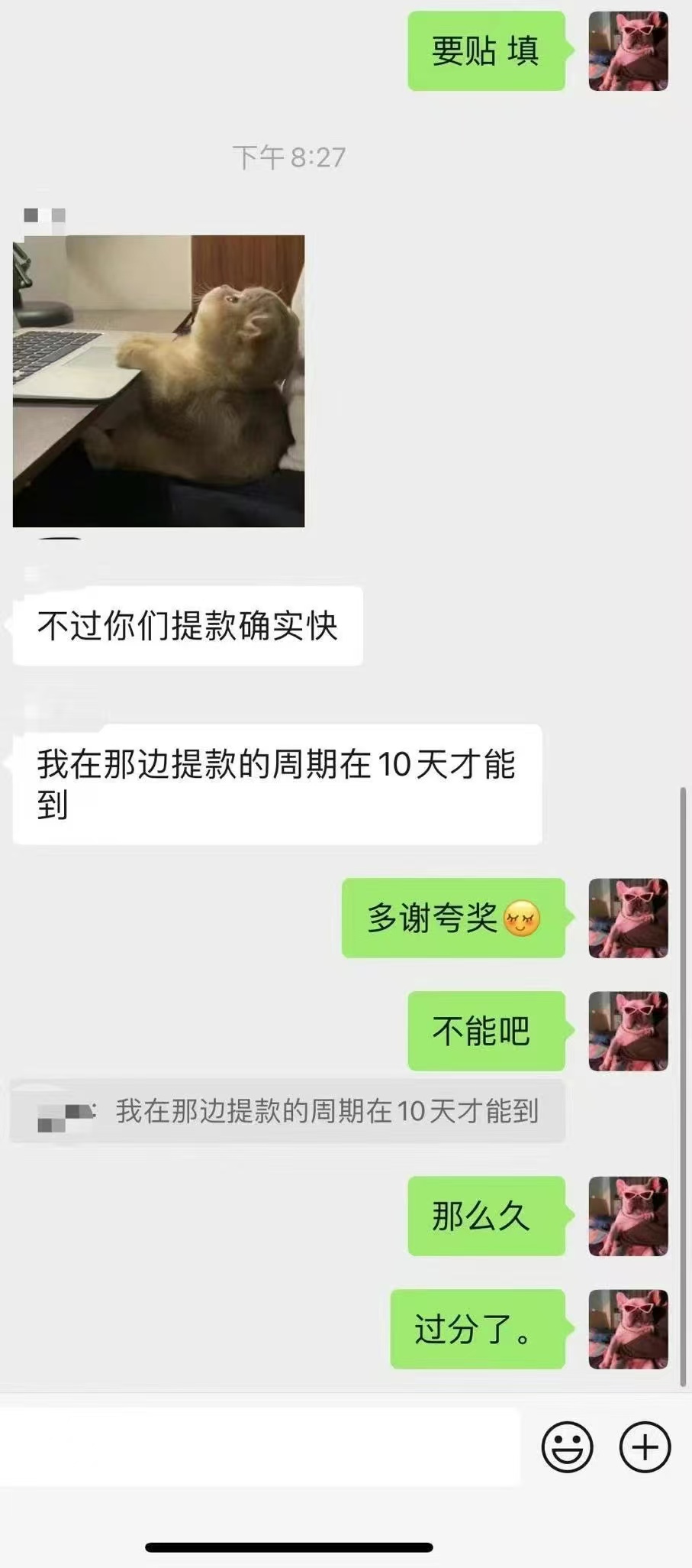 知猫跨境客户好评：电商回款好评